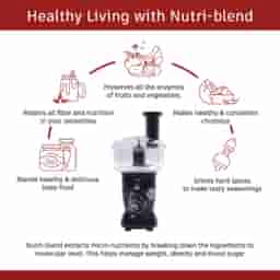 Wonderchef 600W Nutri-blend Bolt FP