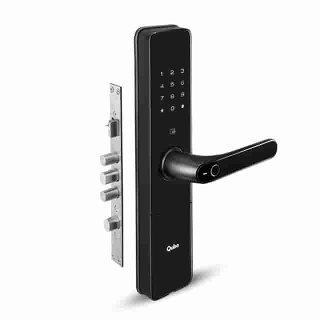 Qubo Smart Door Lock Select | Ant Mascot