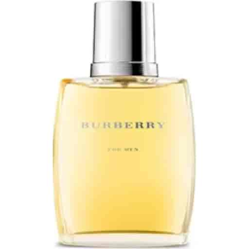 Burberry Classic Red Edt 100ml Perfume (Men)