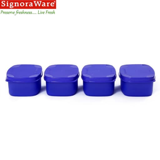 Signoraware Cute Container (Set Of 4)